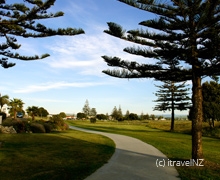 activities and attractions in Napier